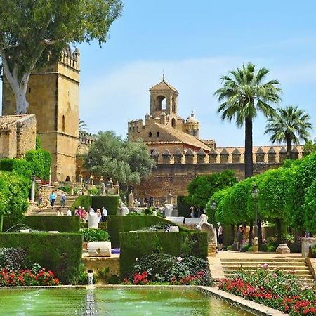 Grupo Limcotel El Paseito De Concha-Mesquita-Parking コルドバ エクステリア 写真